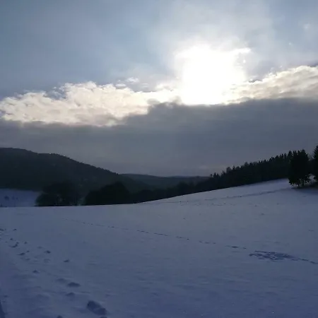Ferienwohnung Motta * Winterberg