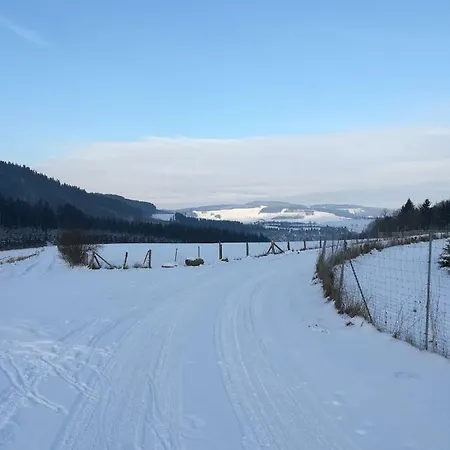 Ferienwohnung Motta Daire Winterberg